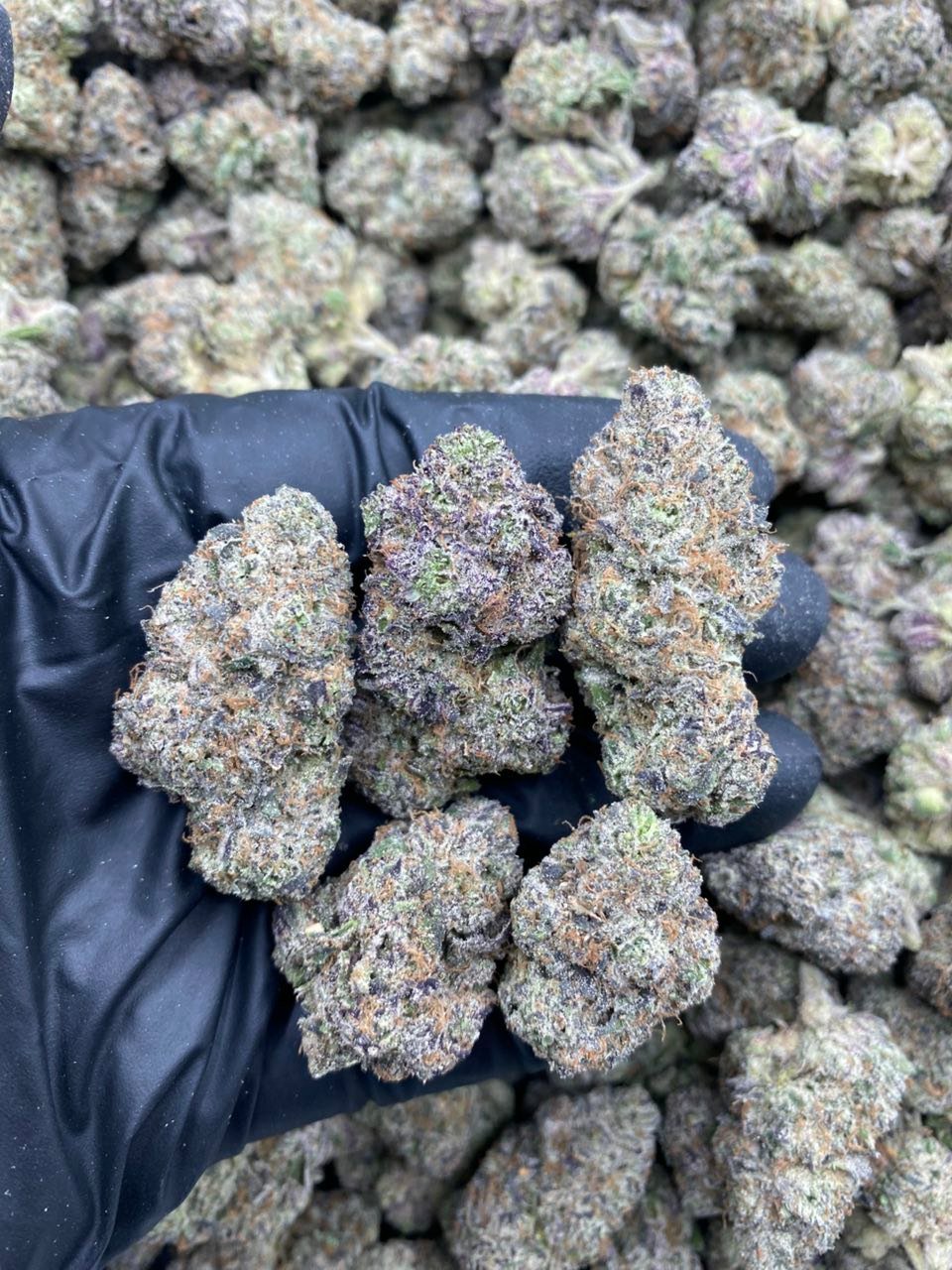 WHITE CHERRY POP Strain