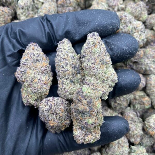 MIMOSA X PURPLE PUNCH Strain