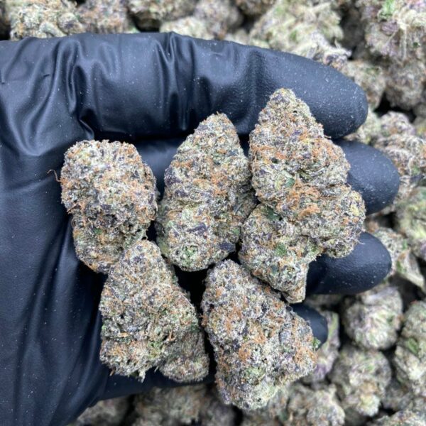 NEON BLUE CHERRIES Strain