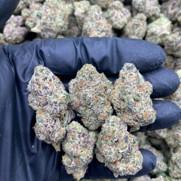 DIRTY SPRITE Strain