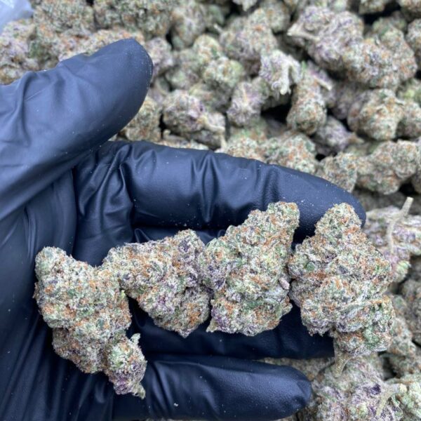 SECRET SAUCE Strain