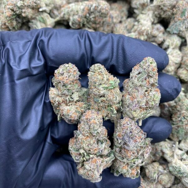 SPACE ROCKS Strain