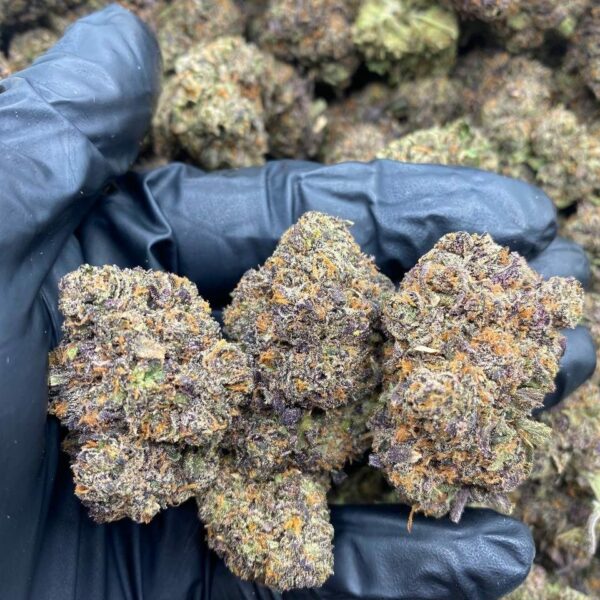 SHERBERT GUMBO Strain