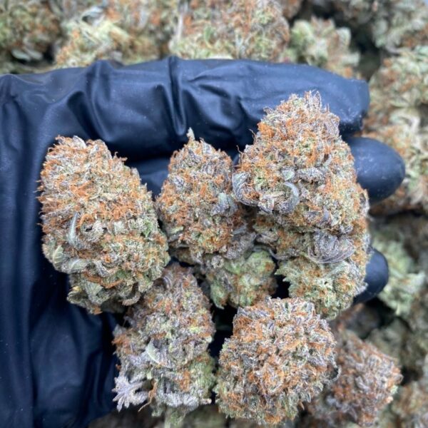 PURPLE BUBBA Strain