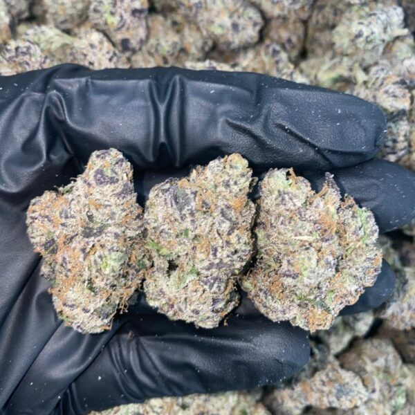 ZEUS OG Strain