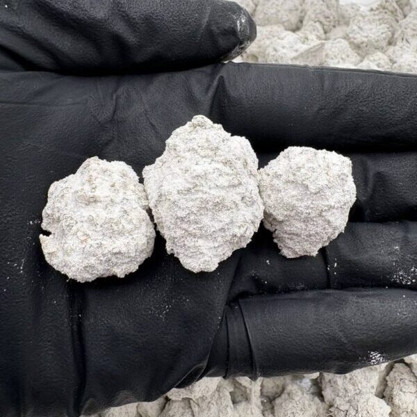 SNOWBALLS – STY220